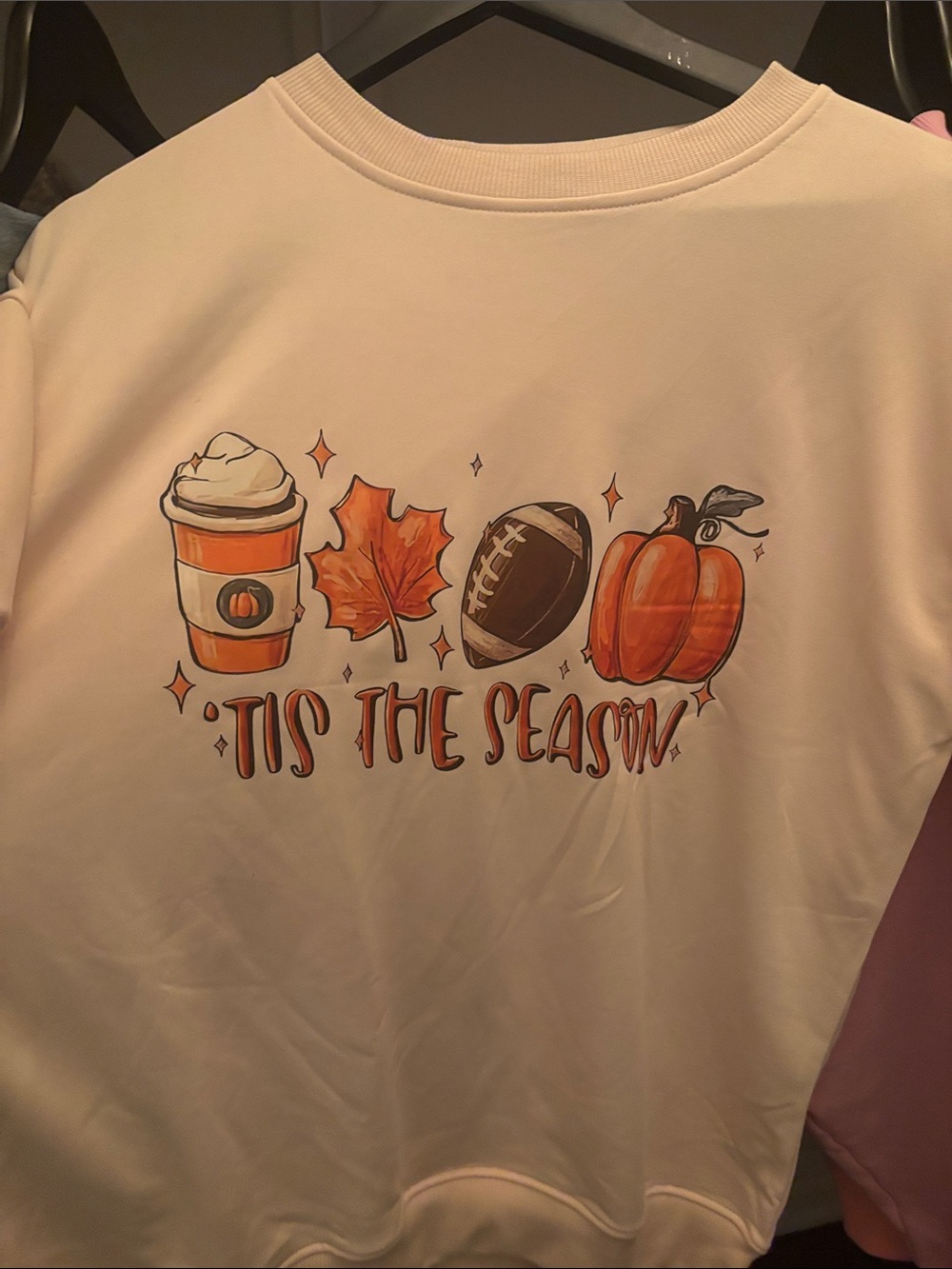 'Tis The Season Cream Graphic Sweatshirt - Seasonal Fall Icons